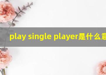 play single player是什么意思